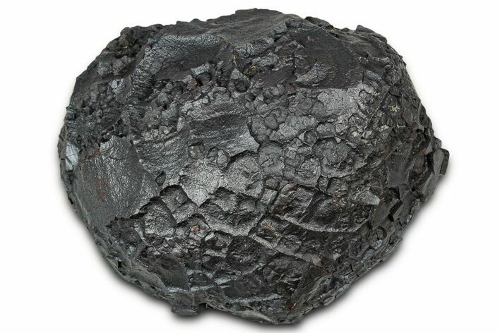 Dragon Scale Stone (Iron, Manganese, Siderite Nodule) #330315